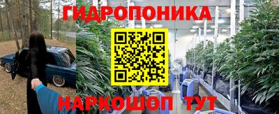 не бодяженный Заводоуковск