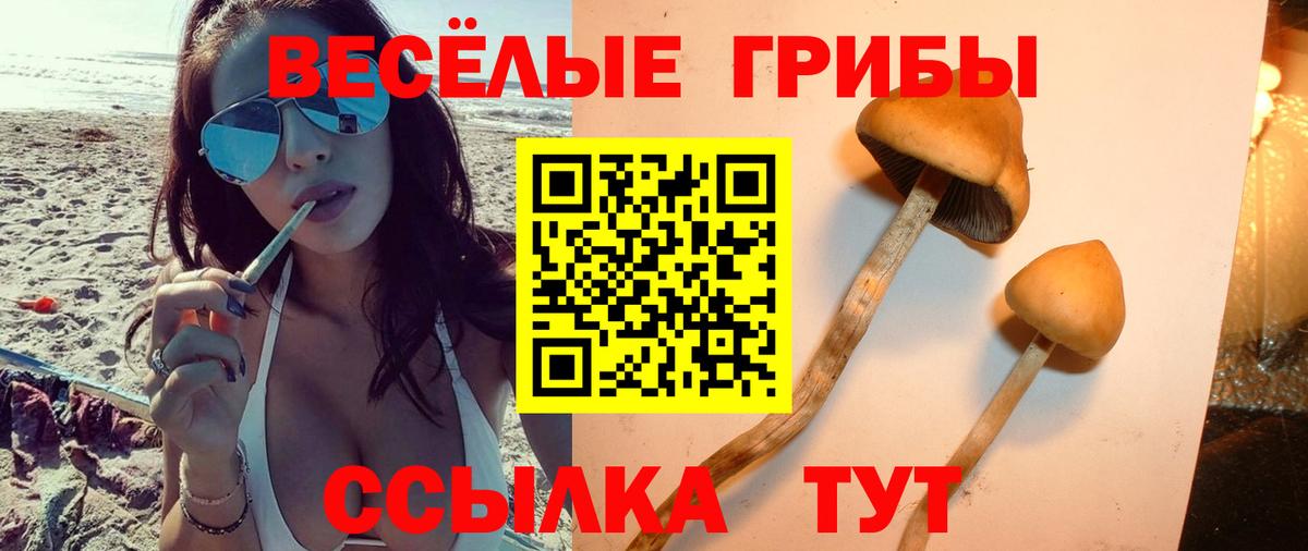 Лыткарино  Галлюциногенные грибы прущие грибы  Псилоцибиновые грибы MAGIC MUSHROOMS  Вход с VPN 
